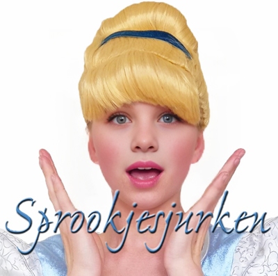 Assepoester pruik2 met vast haarlint