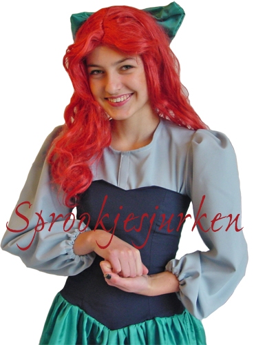 Ariel de kleine Zeemeermin aan land