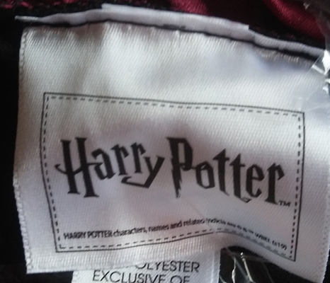 Harry Potter (Griffoendor) met accessoirepakket!