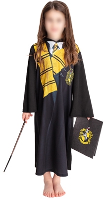 Harry Potter (Huffelpuf Hufflepuff) met accessoires!