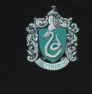 Harry Potter (Zwadderich Slytherin) met accessoires!