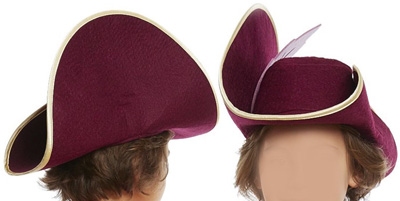 Kapitein Haak met accessoires