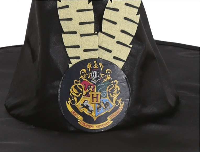 Minerva Anderling (McGonagall) Harry Potter
