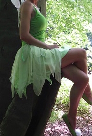 Tinkerbell 1 met vleugels
