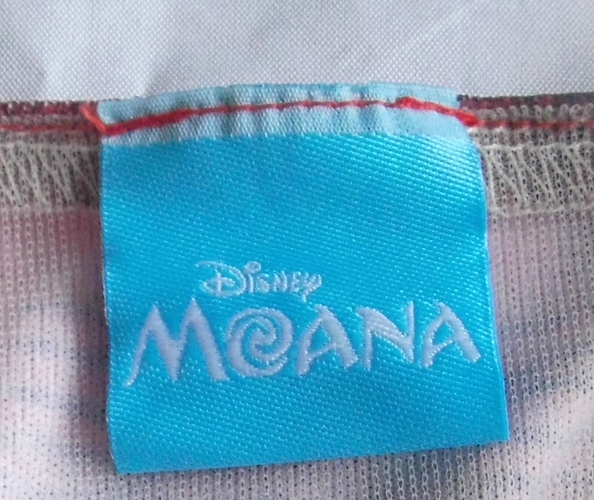 Vaiana 2 met haarspeld - Moana