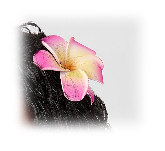 Vaiana 2 met haarspeld - Moana
