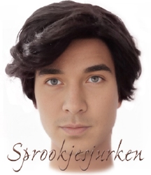 pruik Prins